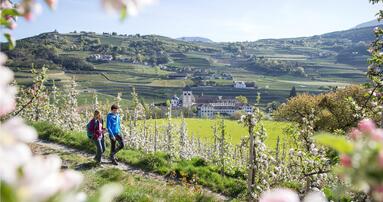 Sensazioni primaverili
