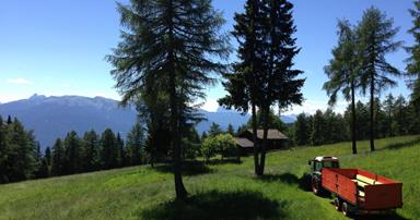 Estate in montagna