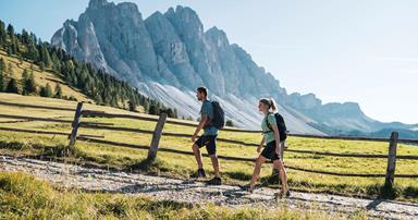 Summer in the mountains