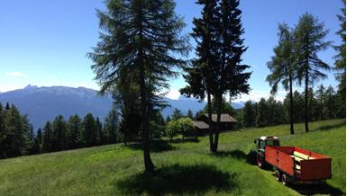 Summer in the mountains