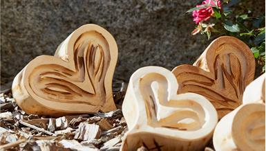 Kinderherz - 1 Tag geschenkt