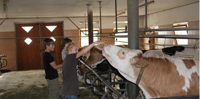 In the barn