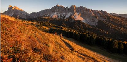 Autumn hike