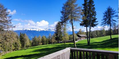 View from the mountain pasture