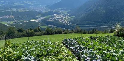 The vegetable garden of the Hinterleitnerhof farm