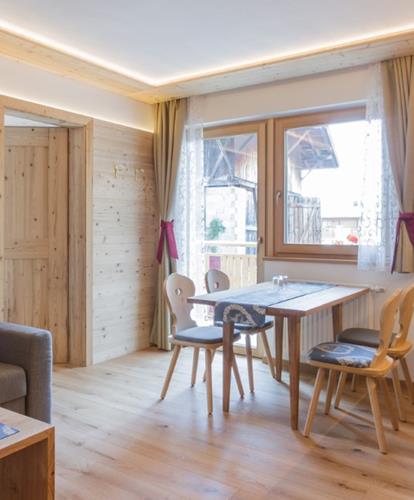 Living area with dining table and kitchenette