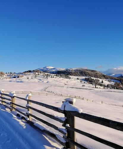 The Rodenecker Alp in winter