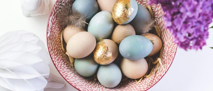 dana-nestorova-stgz1zlxmtk-unsplash