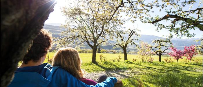 Frühling