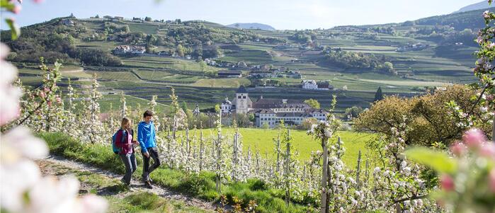 Spring in the Eisacktal Valley