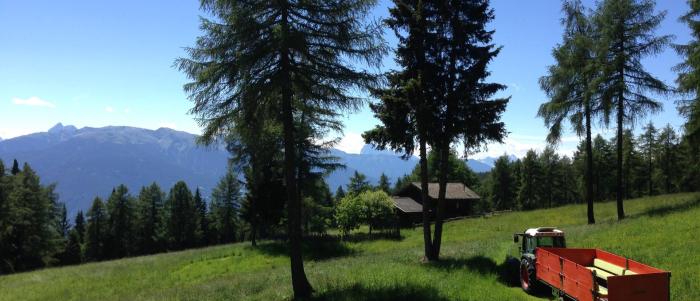 Summer in the mountains